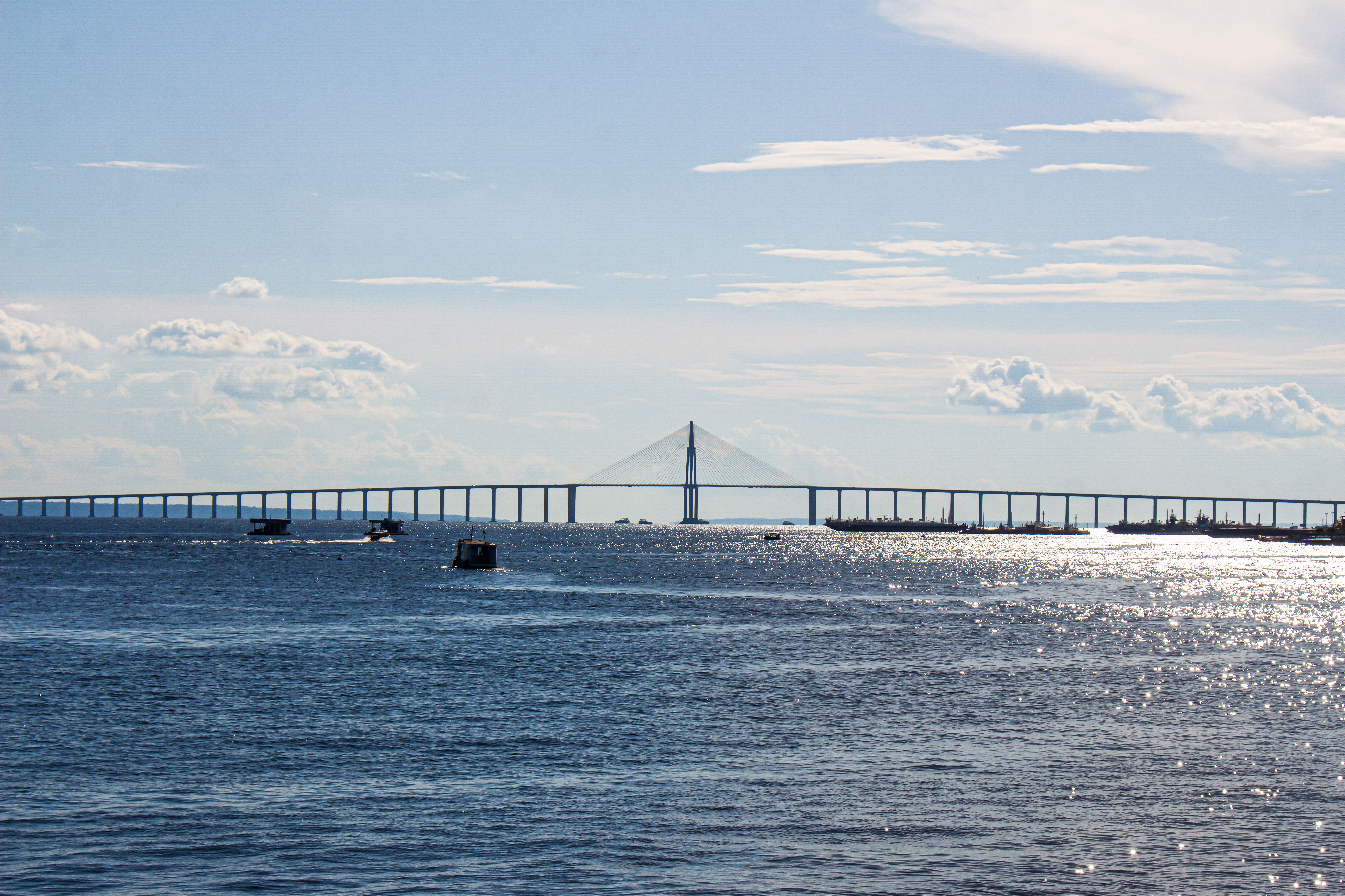 studio tributario de monte Beautiful view of Ponte Rio Negro above the Rio Negro river, Brazil.